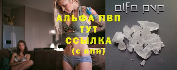 мдпв Рославль